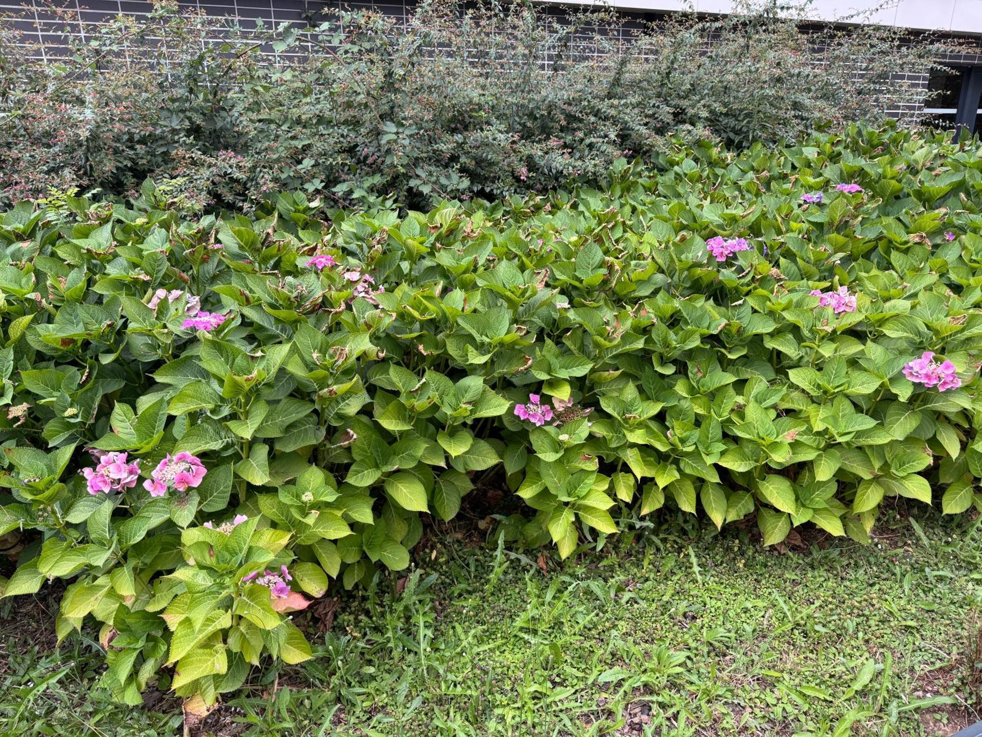 Jardins De La Noue Appartement Villeneuve-la-Garenne Buitenkant foto